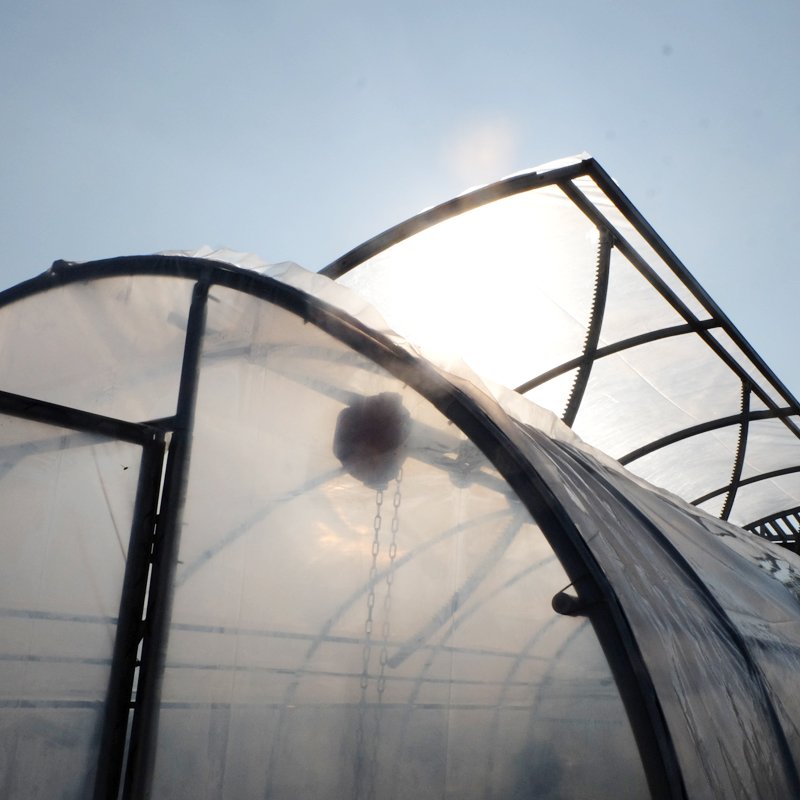 Large Dome High Tunnel Agriculture Greenhouse for Sale