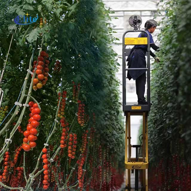 Greenhouse pipe rail trolley for tomato picking agricultural greenhouses