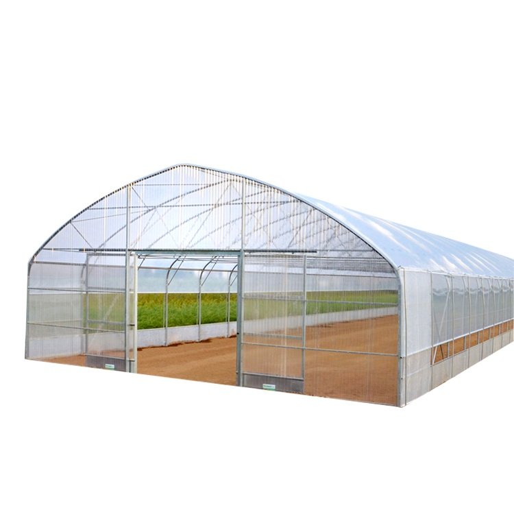 Skyplant Vegetables growing hoop house single span agricultural greenhouse tunneling
