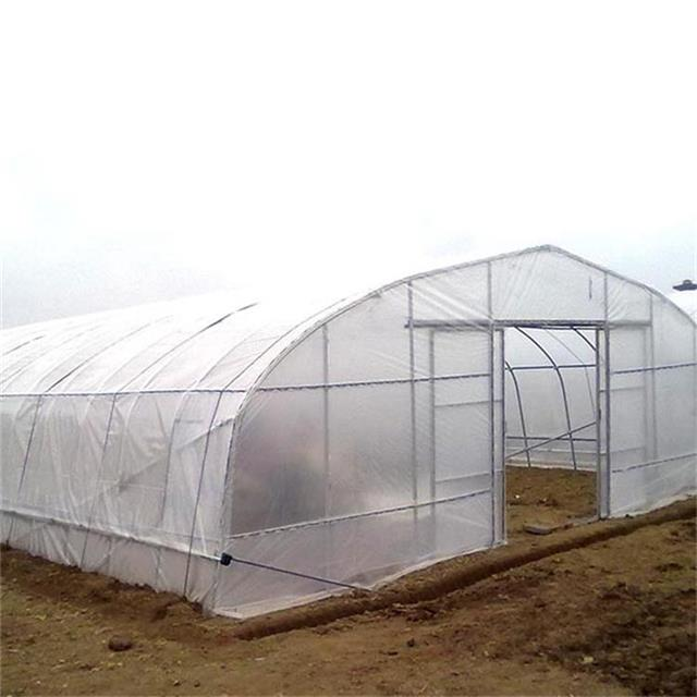 Skyplant Vegetables growing hoop house single span agricultural greenhouse tunneling