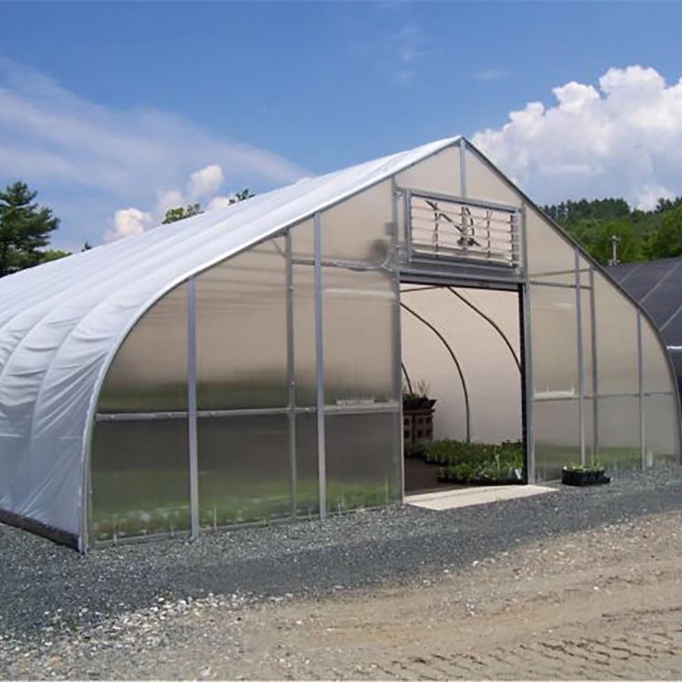 Skyplant Vegetables growing hoop house single span agricultural greenhouse tunneling