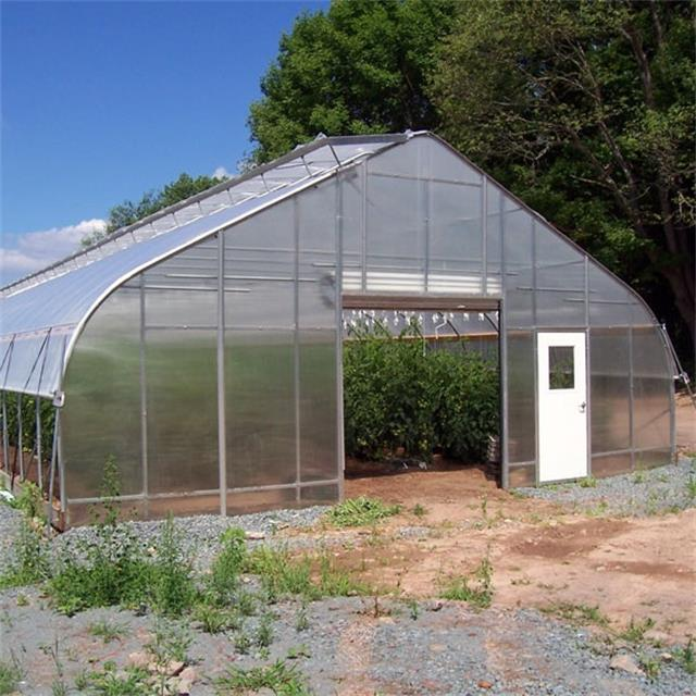 Skyplant Vegetables growing hoop house single span agricultural greenhouse tunneling