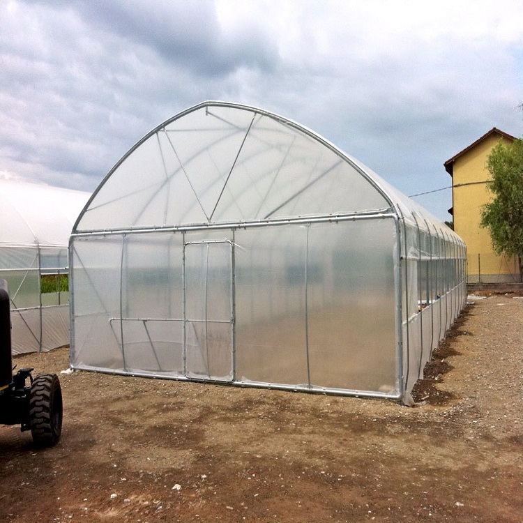 Skyplant Vegetables growing hoop house single span agricultural greenhouse tunneling