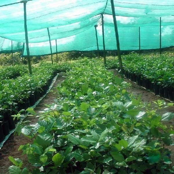 Sun Shade Net Shading Green Sunshade Nets Sunblock Garden HDPE Cloth Mesh Fabric Greenhouse Shade Netting for Agriculture