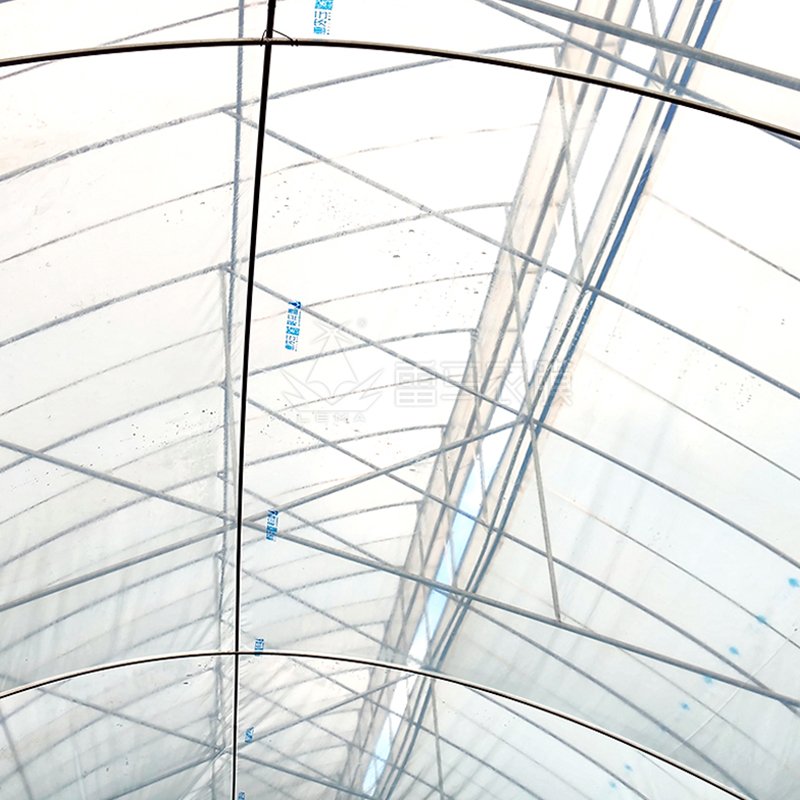 200 Microns Diffusion Light Plastic Shed Uv Resistance Anti-Drip Film Greenhouse For Plant Vegetables