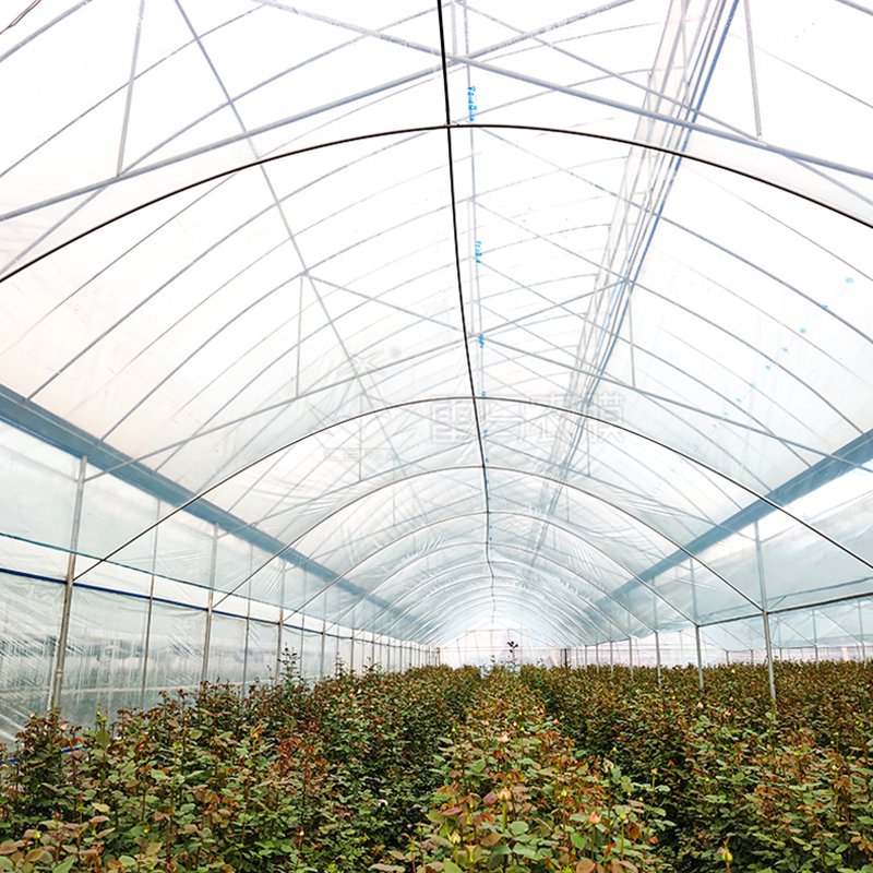 200 Microns Diffusion Light Plastic Shed Uv Resistance Anti-Drip Film Greenhouse For Plant Vegetables