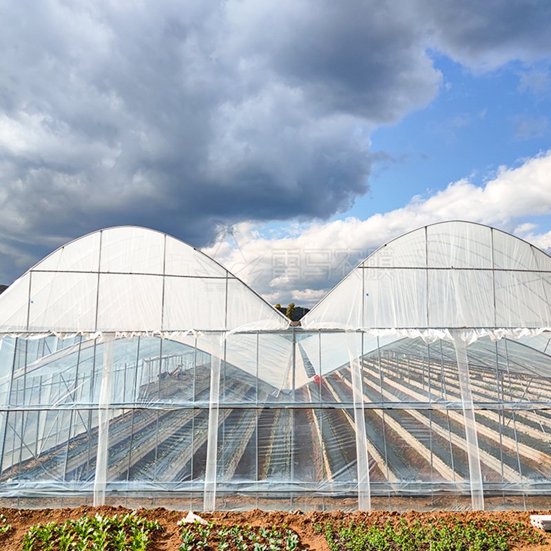 200 Microns Diffusion Light Plastic Shed Uv Resistance Anti-Drip Film Greenhouse For Plant Vegetables