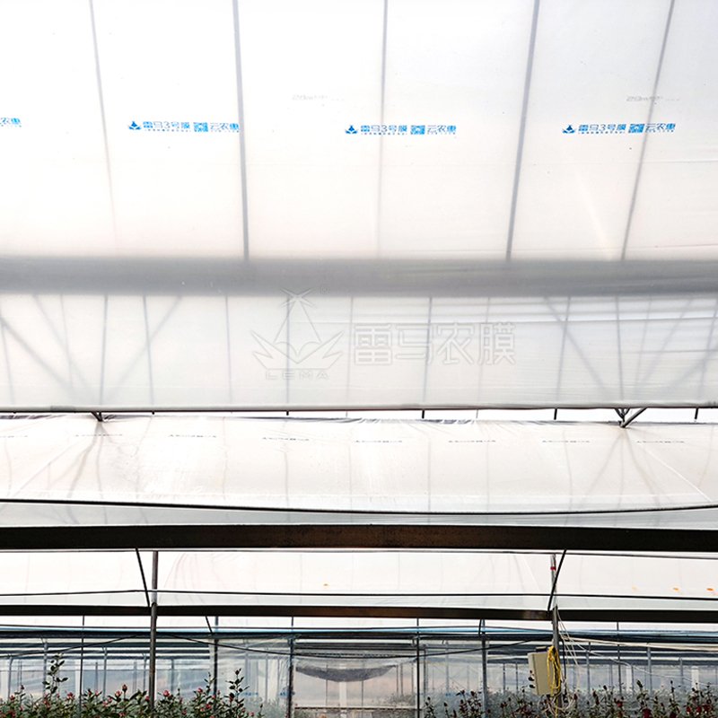200 Microns Diffusion Light Plastic Shed Uv Resistance Anti-Drip Film Greenhouse For Plant Vegetables