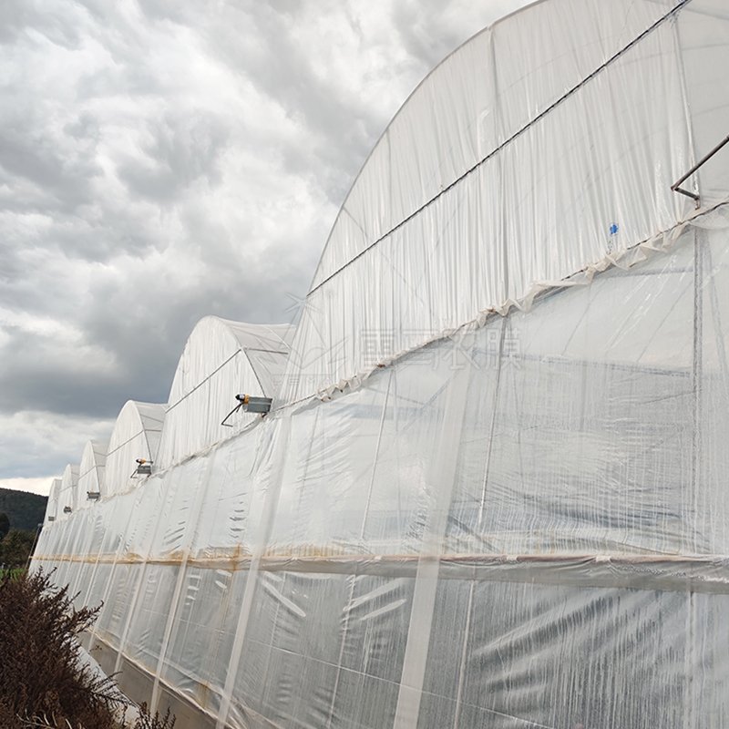 200 Microns Diffusion Light Plastic Shed Uv Resistance Anti-Drip Film Greenhouse For Plant Vegetables
