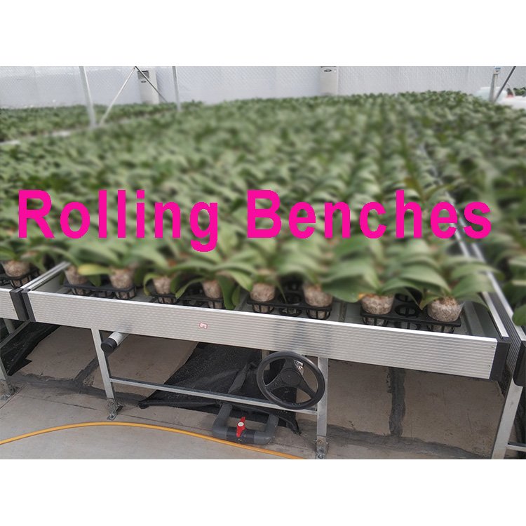 Large ABS Plastic EBB Flow Tray for Hydroponic Table for Plant Usage in Agricultural Greenhouses