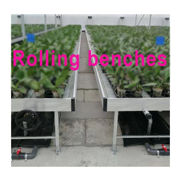 Large ABS Plastic EBB Flow Tray for Hydroponic Table for Plant Usage in Agricultural Greenhouses