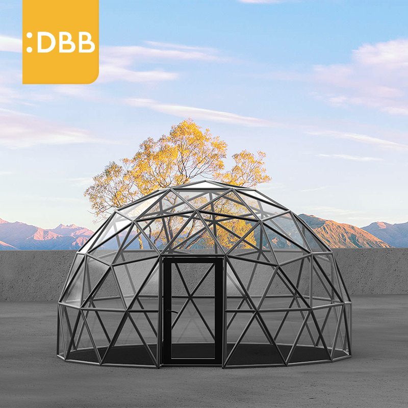Factory Direct Sale glass dome house large garden glass house Resist pressure Solid frame garden greenhouse for sale