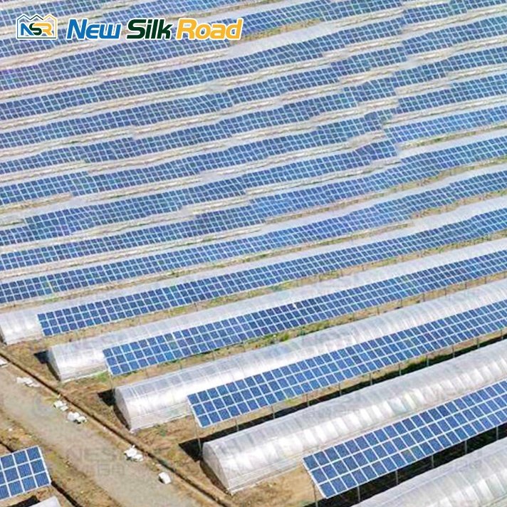 China cheap Solar Double layer film tunnel single span photovoltaic Agricultural Greenhouses For Sale