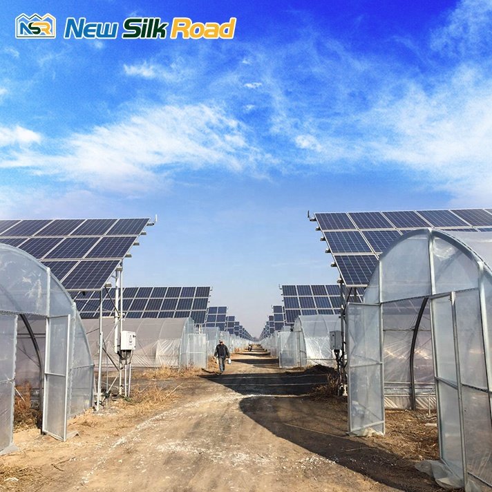 China cheap Solar Double layer film tunnel single span photovoltaic Agricultural Greenhouses For Sale