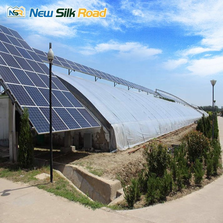 China cheap Solar Double layer film tunnel single span photovoltaic Agricultural Greenhouses For Sale
