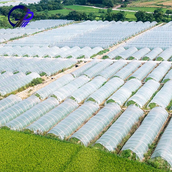 Prefab Tropical Greenhouse Sale Online Multispan Greenhouse For Agriculture