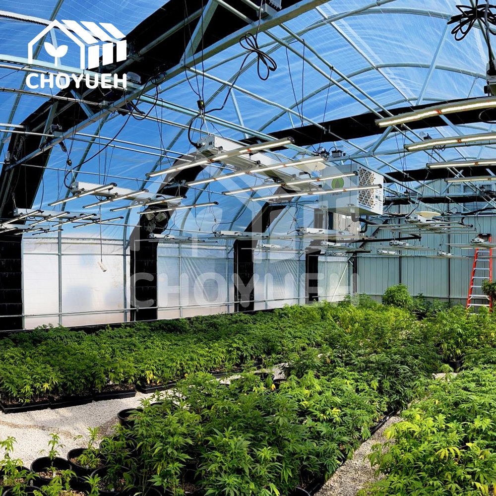 Agriculture Blackout Light Deprivation Greenhouse Fully Automated