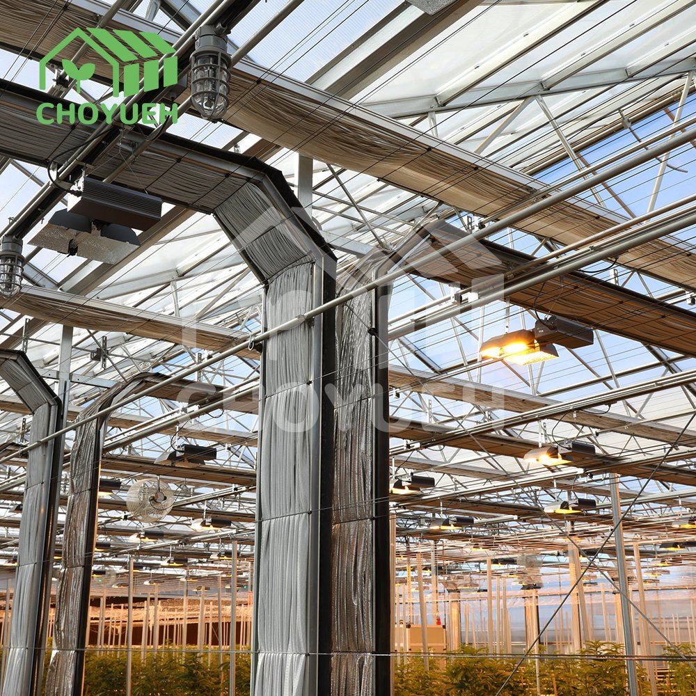 Agriculture Blackout Light Deprivation Greenhouse Fully Automated