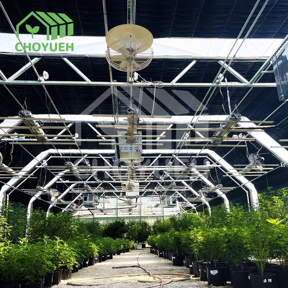 Agriculture Blackout Light Deprivation Greenhouse Fully Automated