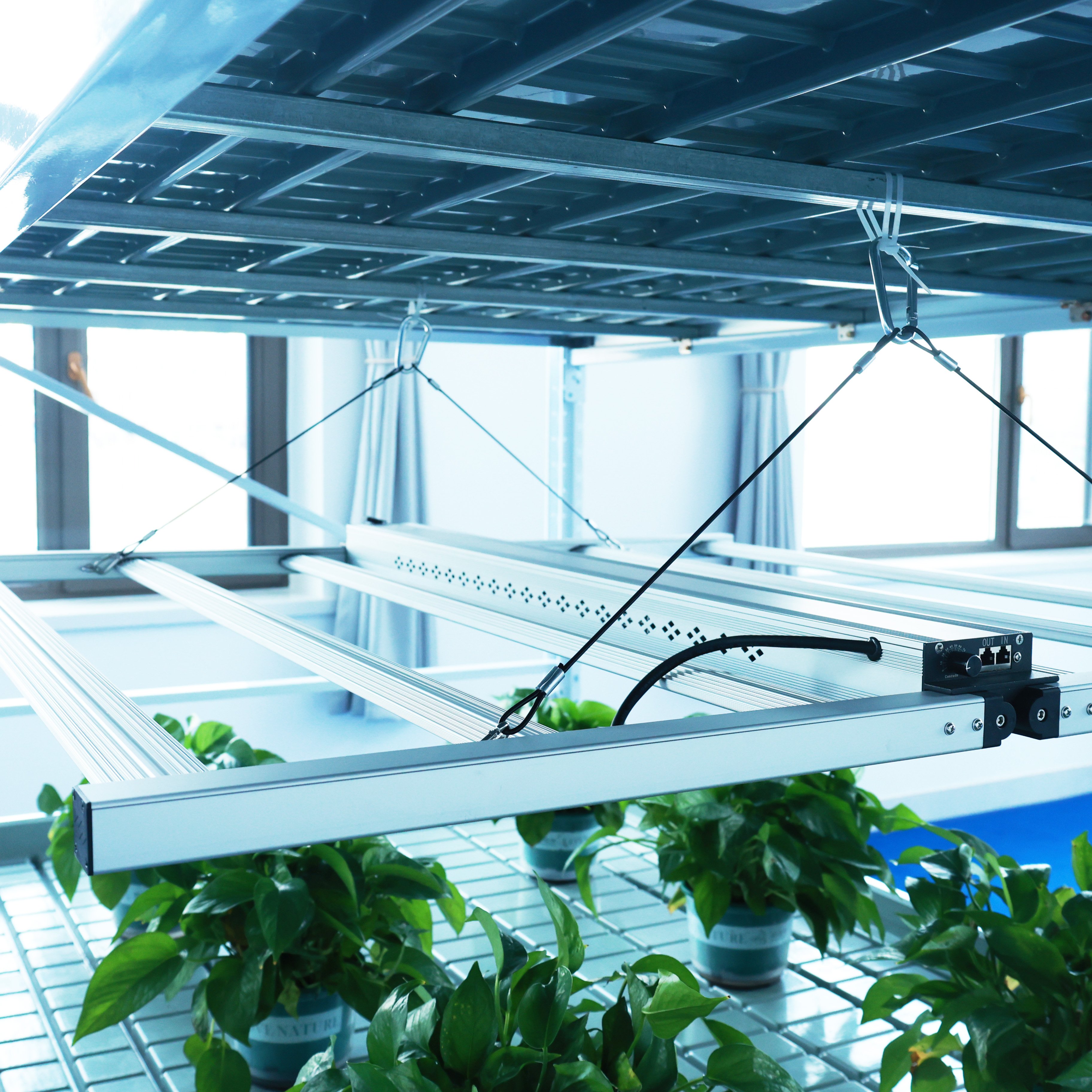Seedbed Agricultural Commercial Greenhouse Agriculture Commercial Movable Greenhouse Seedbed
