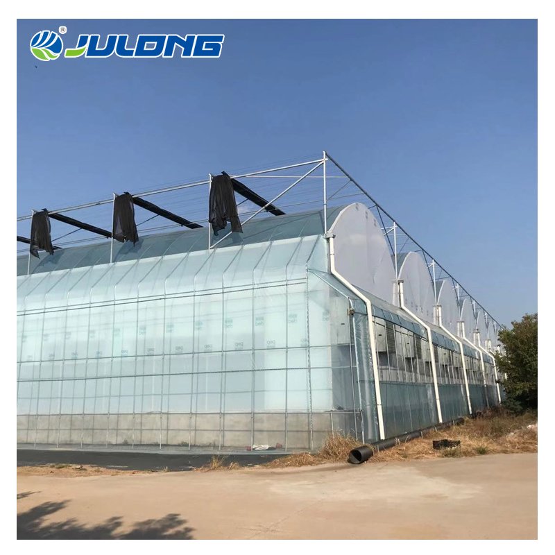 Chinese Greenhouse Smart Insulated Greenhouses Multi-Span Plastic Film Greenhouse Hydroponics Growing Tomatoes for Sale