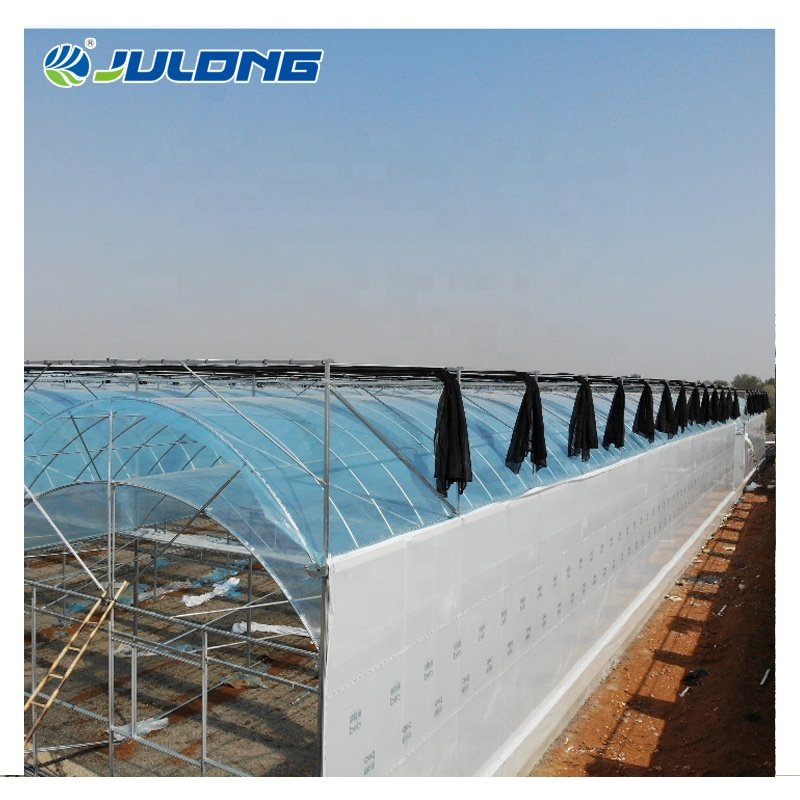 Chinese Greenhouse Smart Insulated Greenhouses Multi-Span Plastic Film Greenhouse Hydroponics Growing Tomatoes for Sale