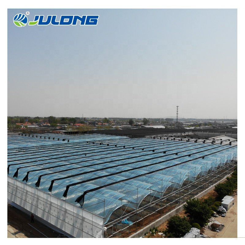 Chinese Greenhouse Smart Insulated Greenhouses Multi-Span Plastic Film Greenhouse Hydroponics Growing Tomatoes for Sale