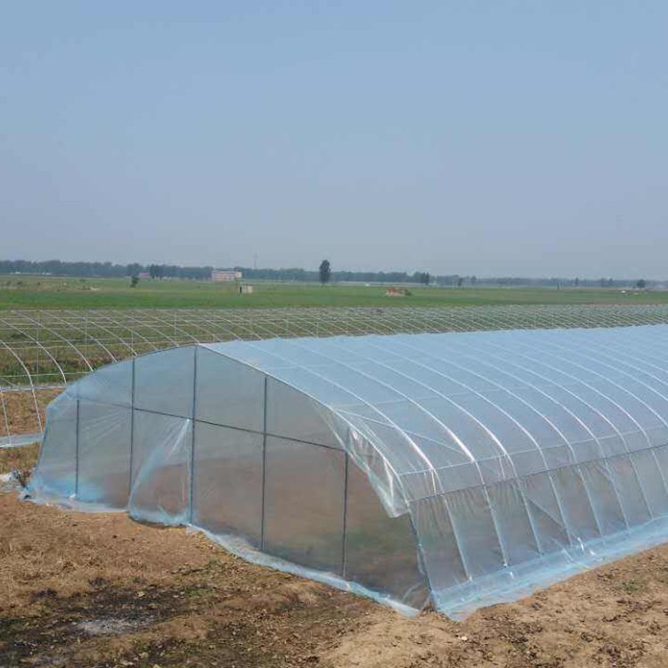 saudi arabia turnkey project with quick construction film tunnel horticultural single span hydroponic agricultural greenhouse