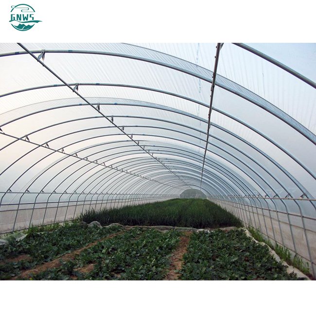 saudi arabia turnkey project with quick construction film tunnel horticultural single span hydroponic agricultural greenhouse