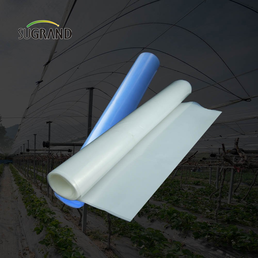 Factory made 150 micron greenhouse film LLDPE for Vegetable garden