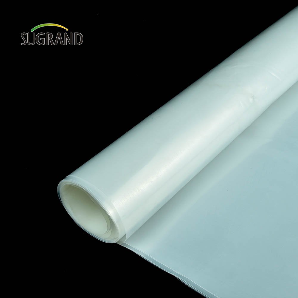 Factory made 150 micron greenhouse film LLDPE for Vegetable garden