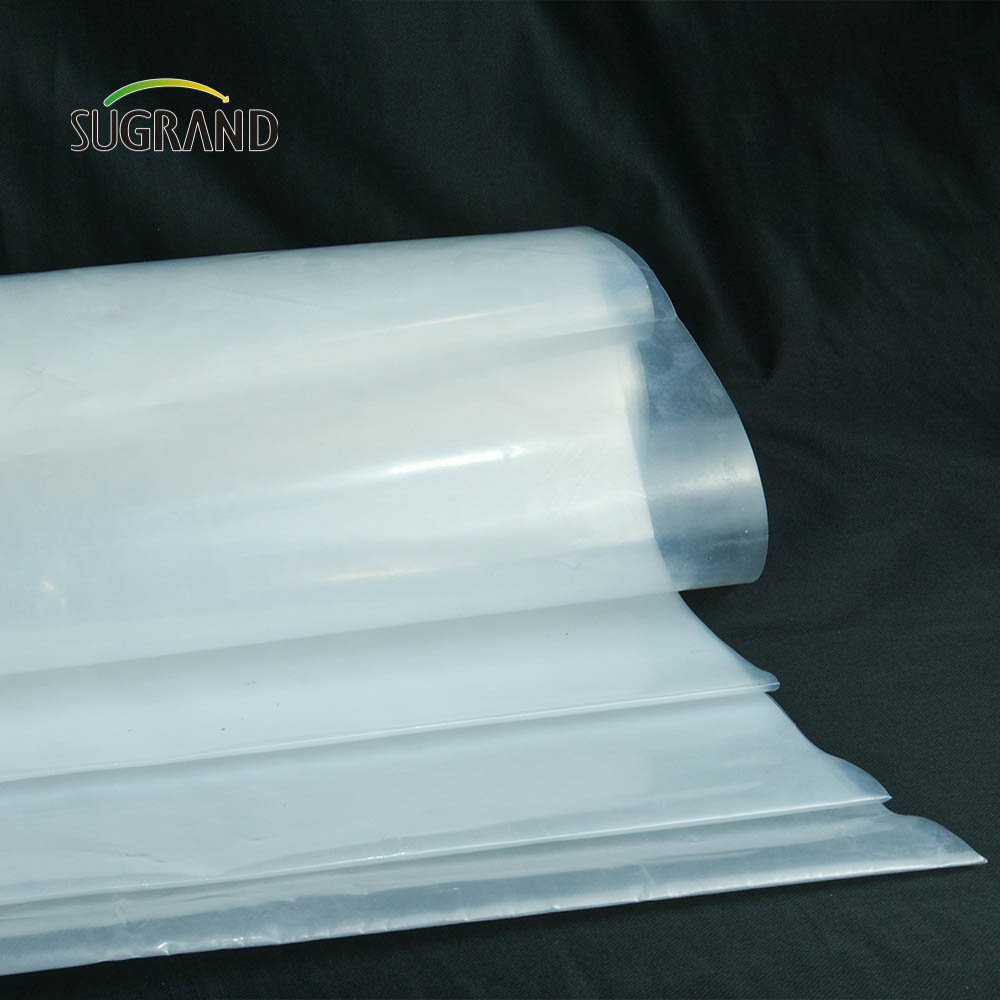 Factory made 150 micron greenhouse film LLDPE for Vegetable garden