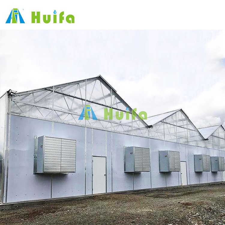 Hot Sale Auto Blackout Light Deprivation Greenhouse Hemp Dep Greenhouse Pc Sheet Greenhouse Agriculture Green House Equipment