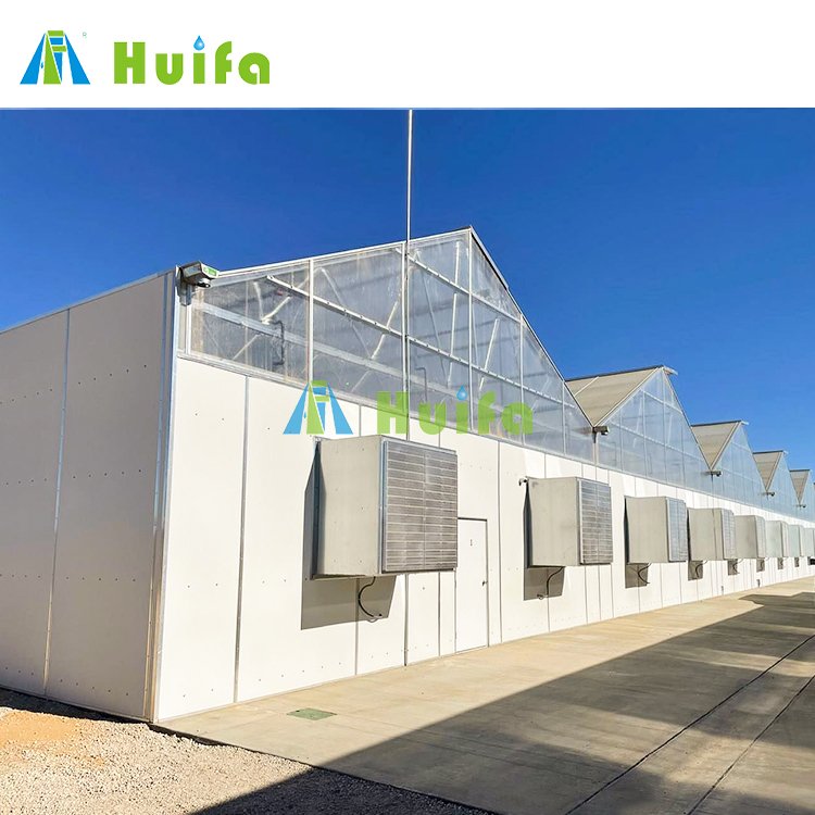 Hot Sale Auto Blackout Light Deprivation Greenhouse Hemp Dep Greenhouse Pc Sheet Greenhouse Agriculture Green House Equipment