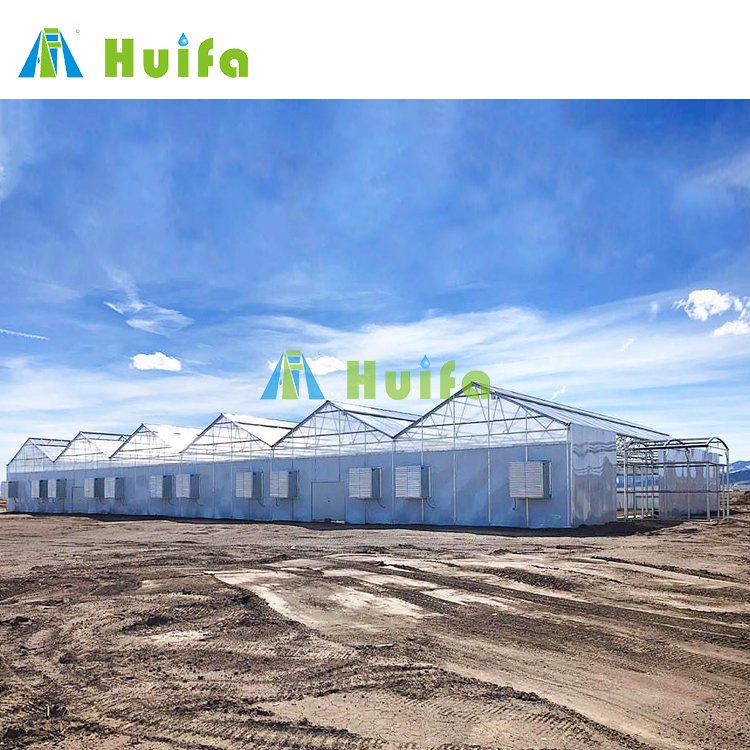 Hot Sale Auto Blackout Light Deprivation Greenhouse Hemp Dep Greenhouse Pc Sheet Greenhouse Agriculture Green House Equipment