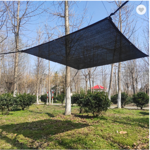 Factory Customized Vegetables Agricultural Greenhouse HDPE 65% Tape Green Sun Shade Net Cloth Mesh Fabric Uv Protection