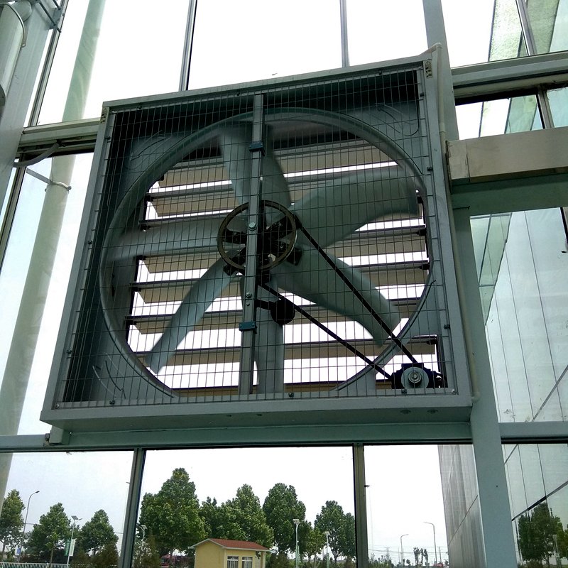 Venlo Type Tempered Glass Agricultural Greenhouse For Vegetable