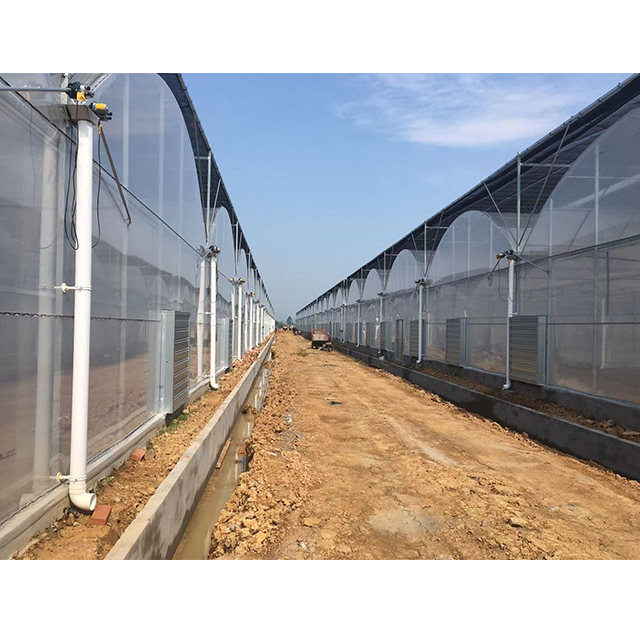 Automated 100% Light Deprivation Blackout Seeding Polytunnel Agricultural Custom Greenhouse With Grow Light