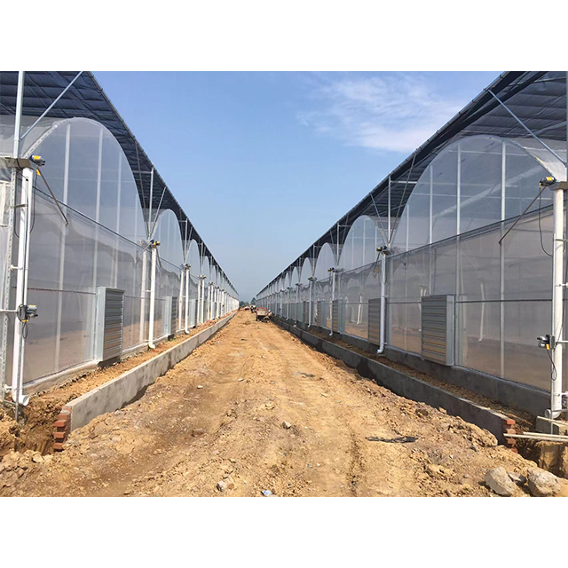 Automated 100% Light Deprivation Blackout Seeding Polytunnel Agricultural Custom Greenhouse With Grow Light