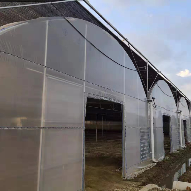 Automated 100% Light Deprivation Blackout Seeding Polytunnel Agricultural Custom Greenhouse With Grow Light