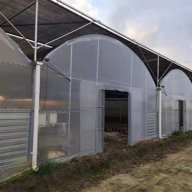 Automated 100% Light Deprivation Blackout Seeding Polytunnel Agricultural Custom Greenhouse With Grow Light