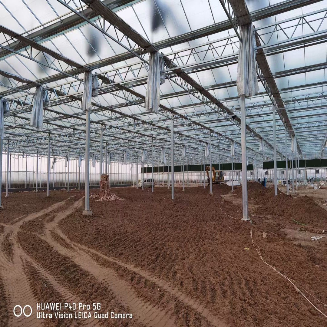 Mini Agriculture Multi Span Glass Green House For Vegetables