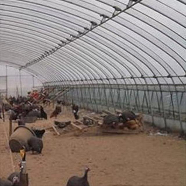UV resistant plastic agriculture poly film/control solar waterproof woven plastic film greenhouse for sale
