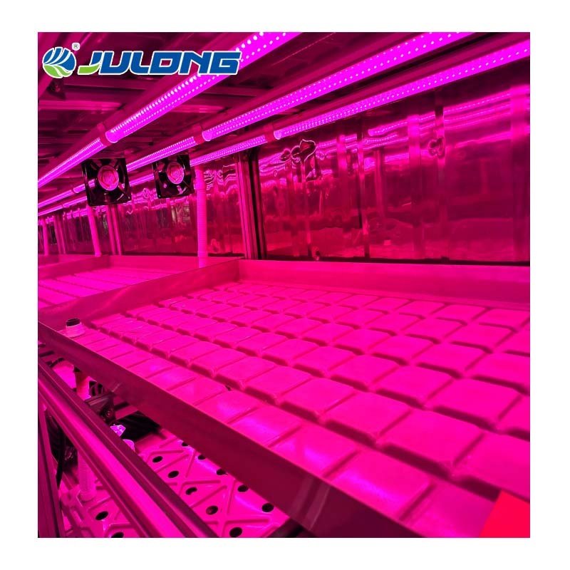 Intelligent growing shipping container farm grow room vertical hydroponic system container greenhouse
