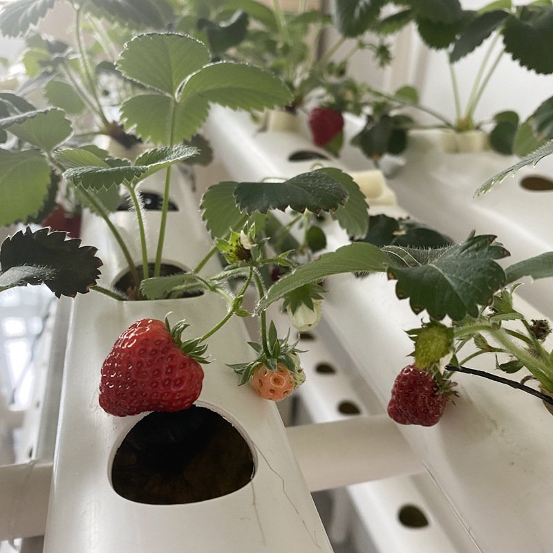 Leafy vegetables nft hydroponic channel hydroponic nft channel