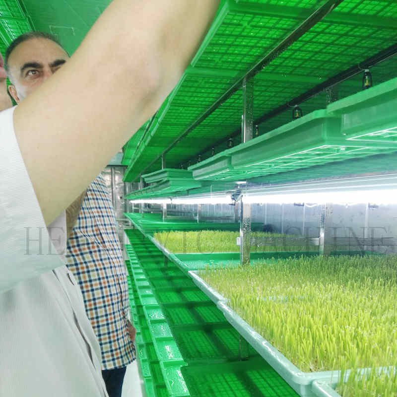 Agricultural greenhouse energy and water saving hydroponic equipment indoor hydroponic machine