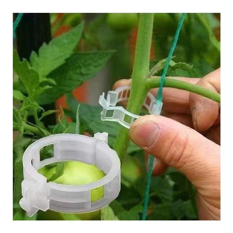 Greenhouse plant clips tomato clips plastic plant clip for climbing plant agriculture Accessories