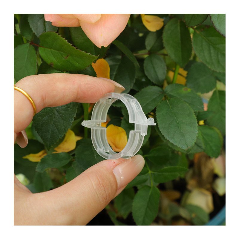 Greenhouse plant clips tomato clips plastic plant clip for climbing plant agriculture Accessories