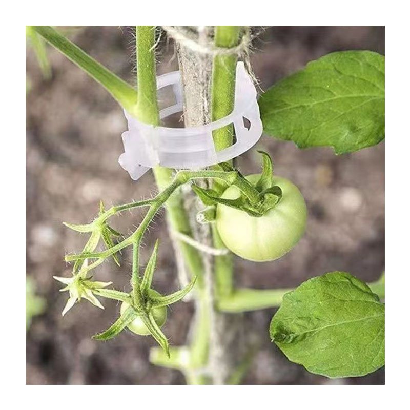 Greenhouse plant clips tomato clips plastic plant clip for climbing plant agriculture Accessories