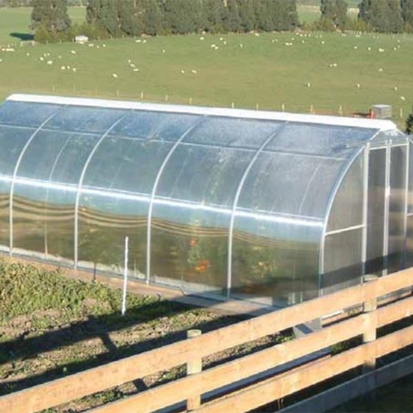 Modern Wholesale Bulk Backyard Greenhouse Vegetable Garden Flower Poly Tunnel Commercial Walk in Greenhouse